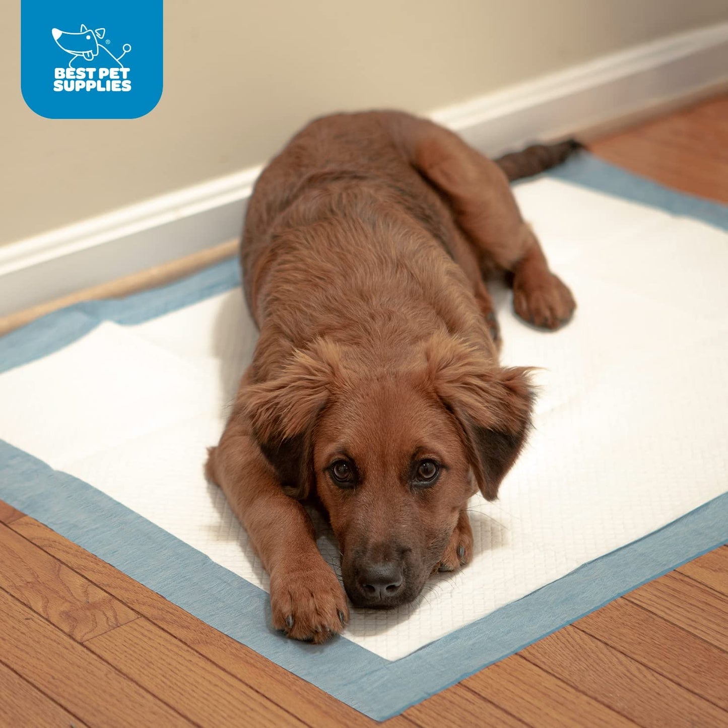 Best Pet Supplies Disposable Puppy Pads