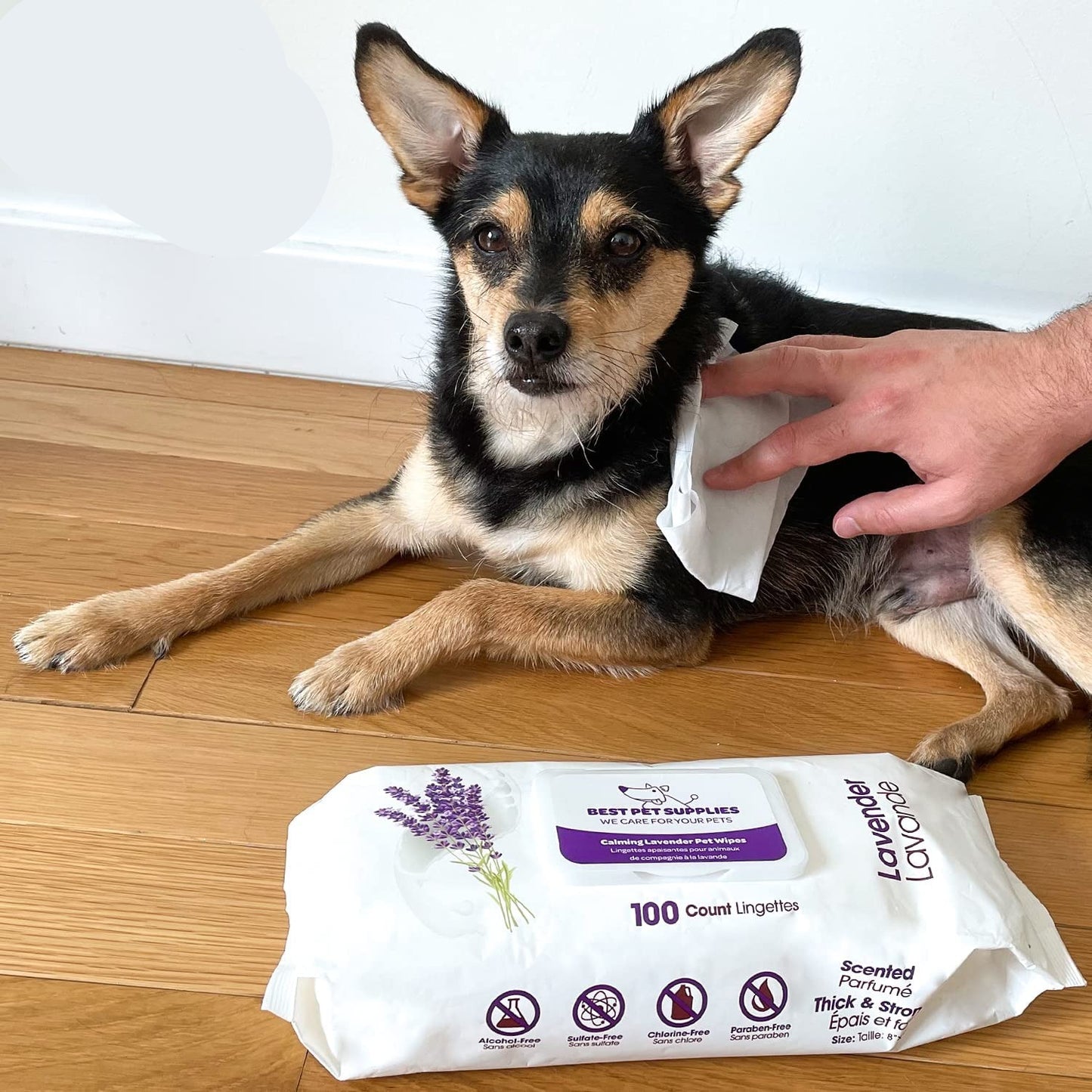 Best Pet Supplies Pet Grooming Wipes For Dogs